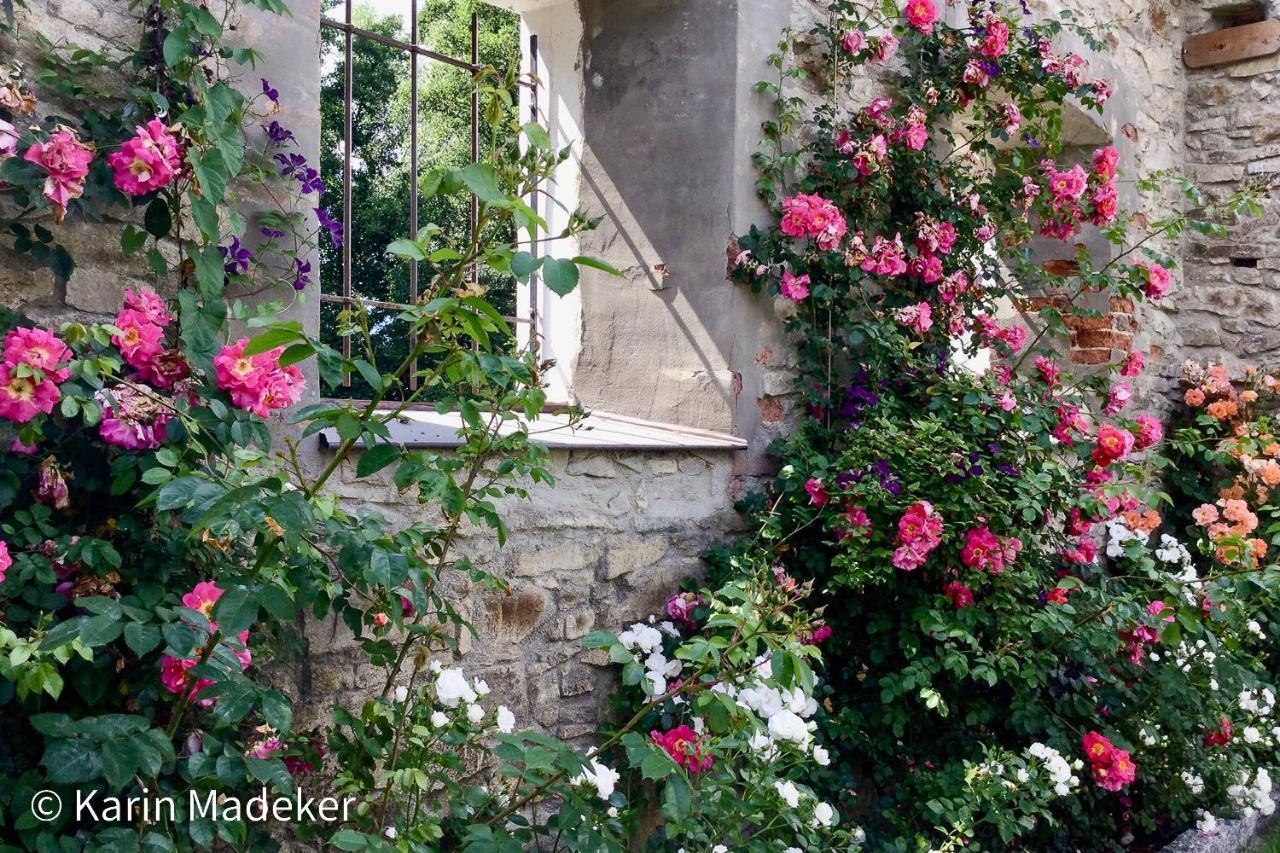 Design Ferienwohnung Mit Bauerngarten فالدكيرشن المظهر الخارجي الصورة