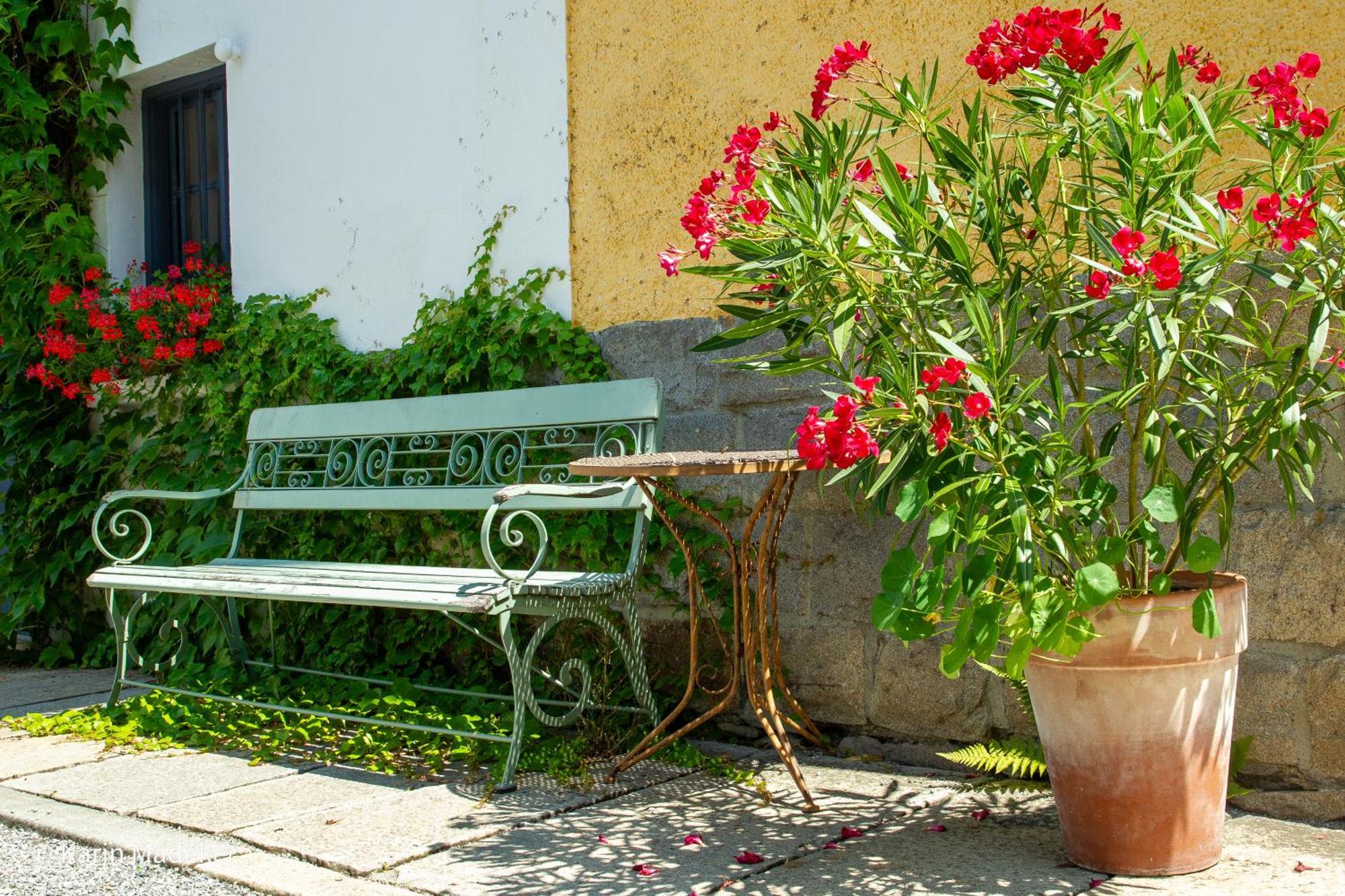 Design Ferienwohnung Mit Bauerngarten فالدكيرشن المظهر الخارجي الصورة