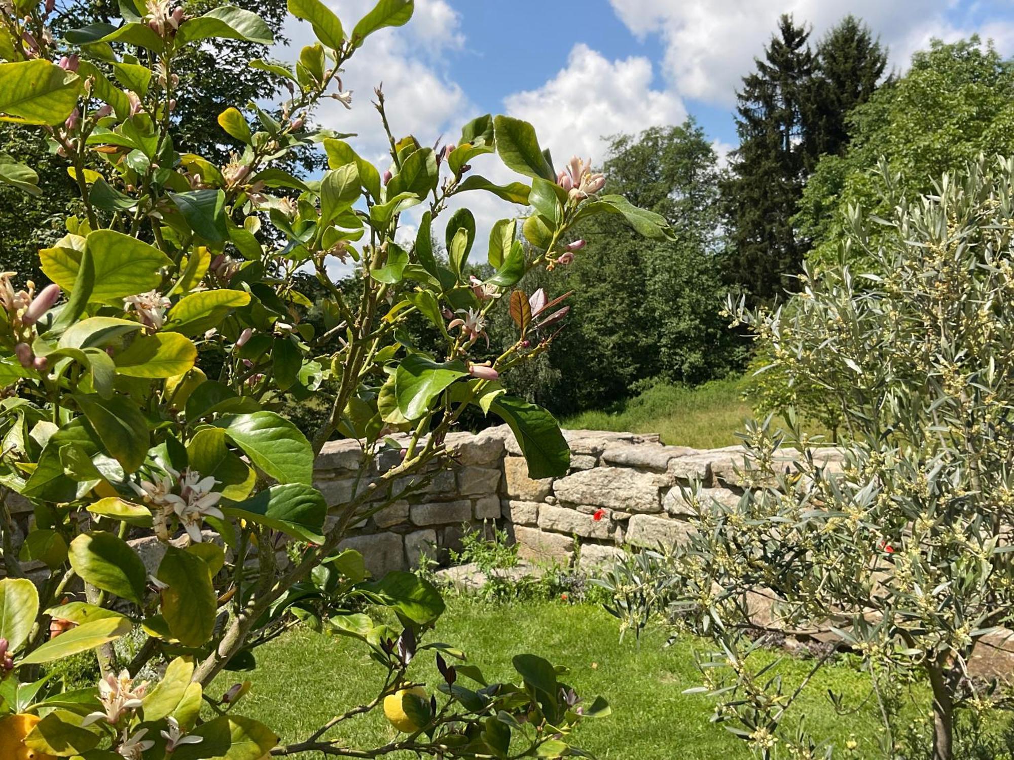 Design Ferienwohnung Mit Bauerngarten فالدكيرشن المظهر الخارجي الصورة